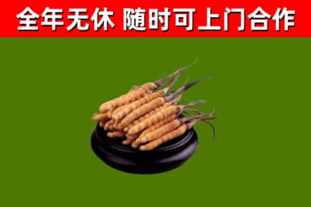 邛崃烟酒回收冬虫夏草.jpg